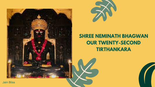 Shree Arishtanemi Bhagwan: Our Twenty-second
