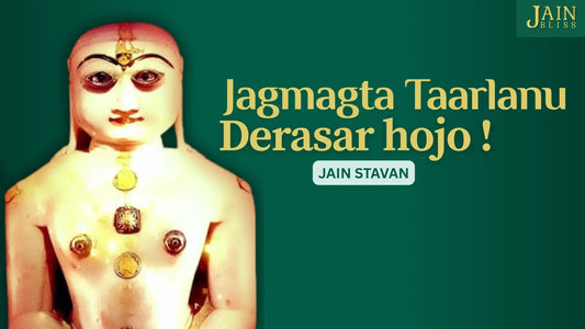 Jagmagta Taarlanu Derasar hojo Jain Bliss