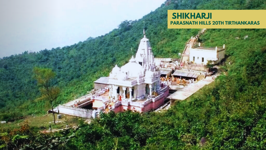 What Lies Beyond the Clouds at Shikharji? A Divine Journey Awaits!
