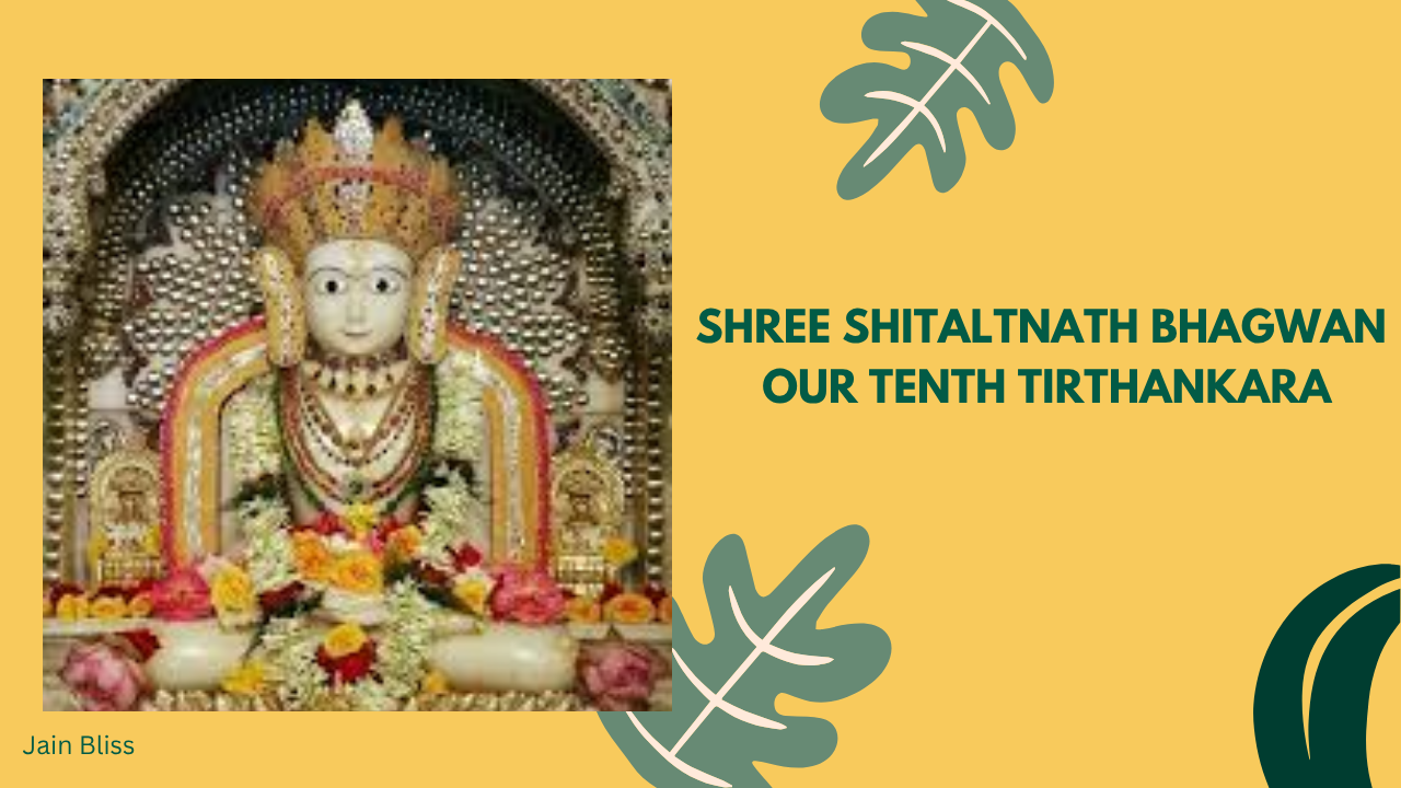 JBT10 - Shree Shitaltnath Bhagwan - The Tenth Tirthankara
